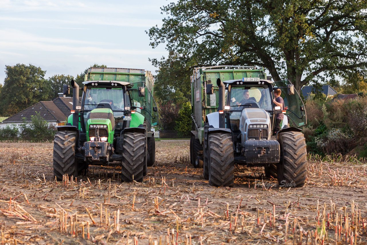 Bild 116 - Maisernte 2016